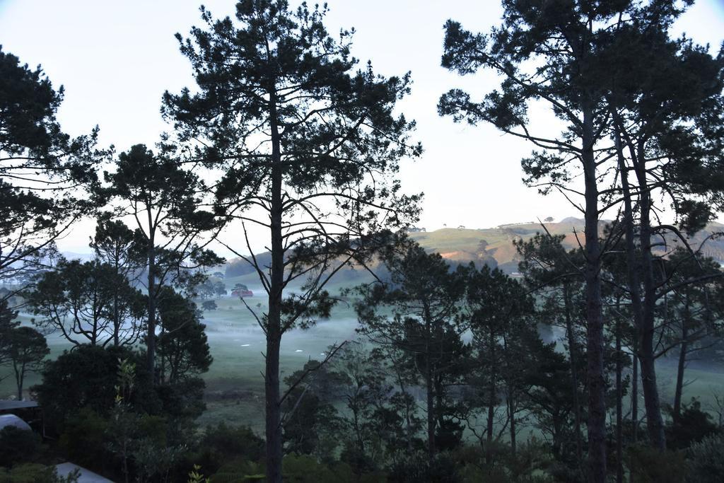 Ponga Eco-Lodge Хахей Экстерьер фото